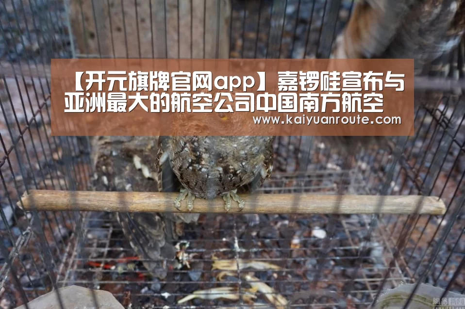 【开元旗牌官网app】嘉锣硅宣布与亚洲最大的航空公司中国南方航空公司签订合作协议