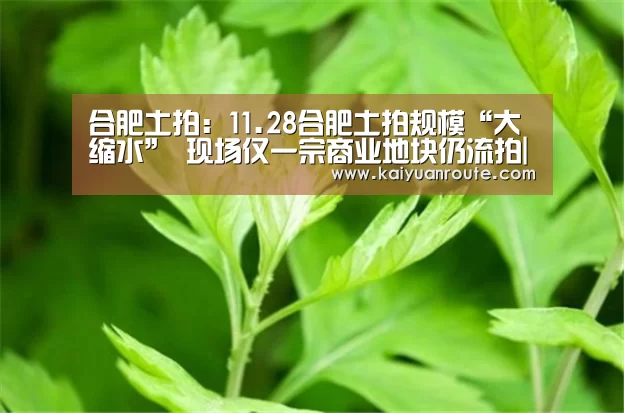 合肥土拍：11.28合肥土拍规模“大缩水” 现场仅一宗商业地块仍流拍|开元旗牌官