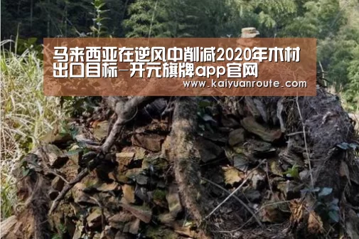 马来西亚在逆风中削减2020年木材出口目标-开元旗牌app官网