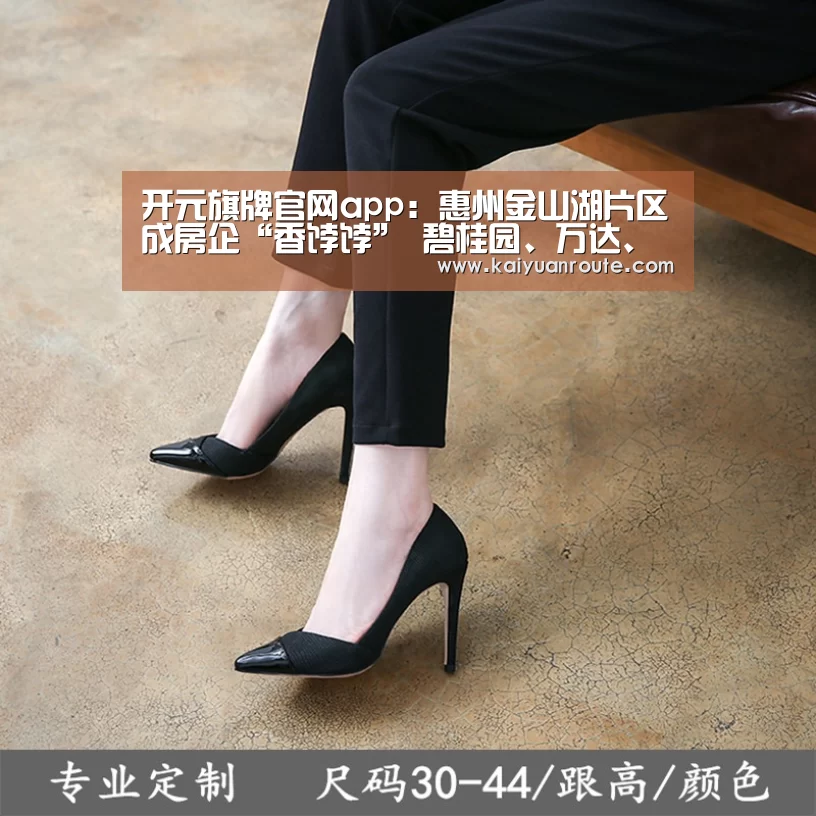 开元旗牌官网app：惠州金山湖片区成房企“香饽饽” 碧桂园、万达、隆生等已抢先布