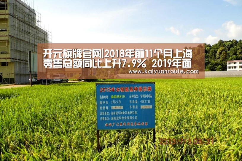 开元旗牌官网app