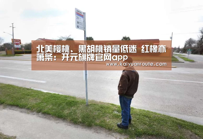 开元旗牌app官网