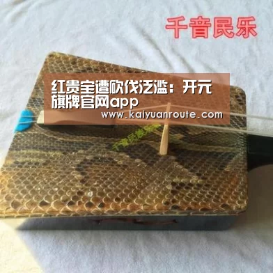 红贵宝遭砍伐泛滥：开元旗牌官网app