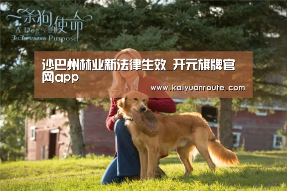 沙巴州林业新法律生效_开元旗牌官网app