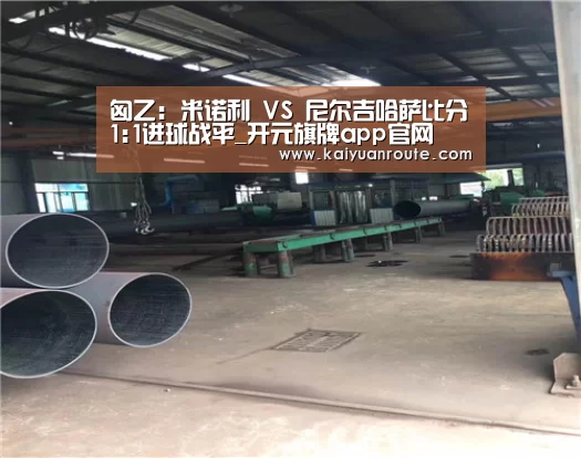 匈乙: 米诺利 VS 尼尔吉哈萨比分1:1进球战平_开元旗牌app官网(图2) 开元旗牌官网